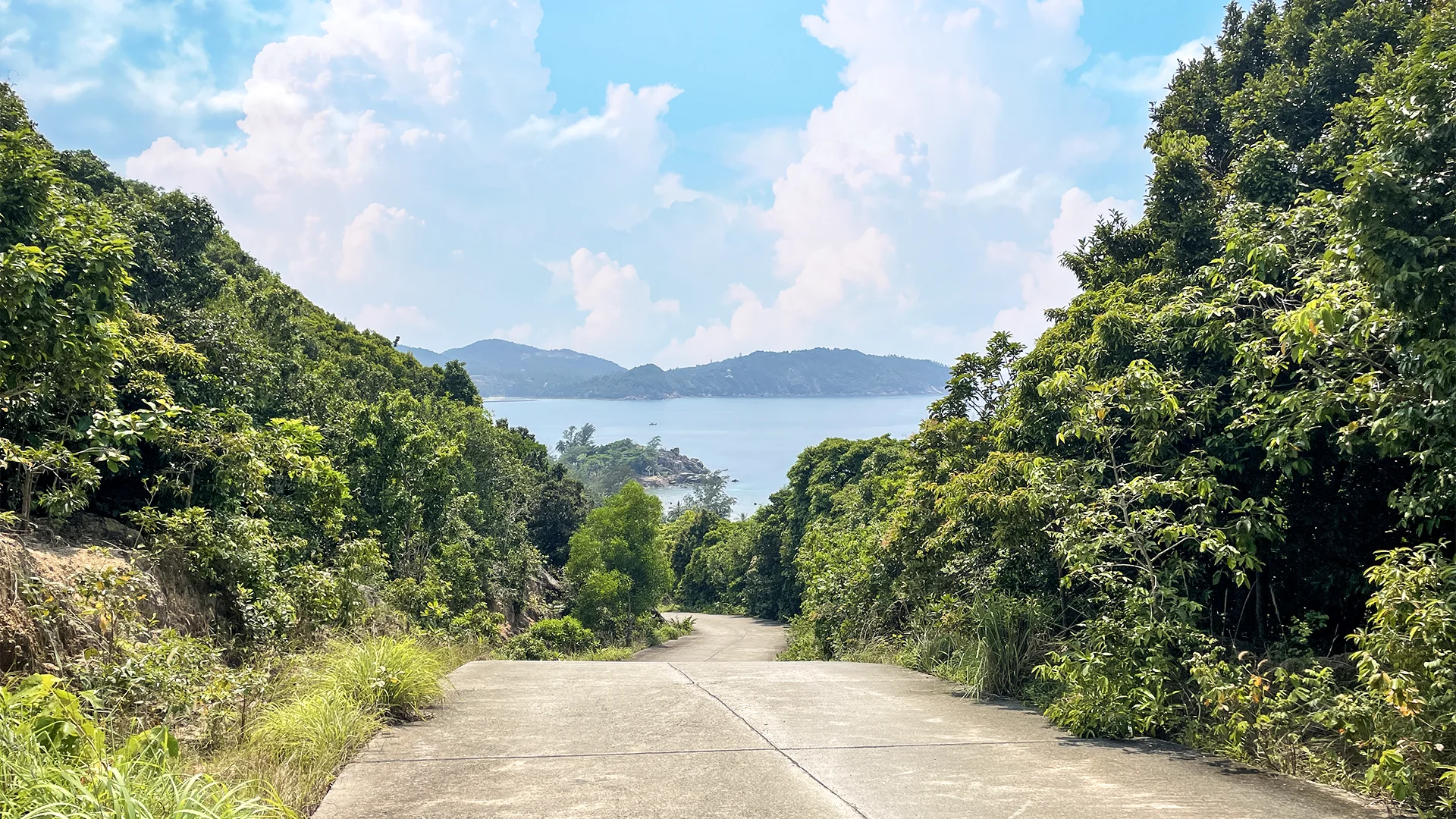 Road through jungle descending toward the sea in Koh Phangan