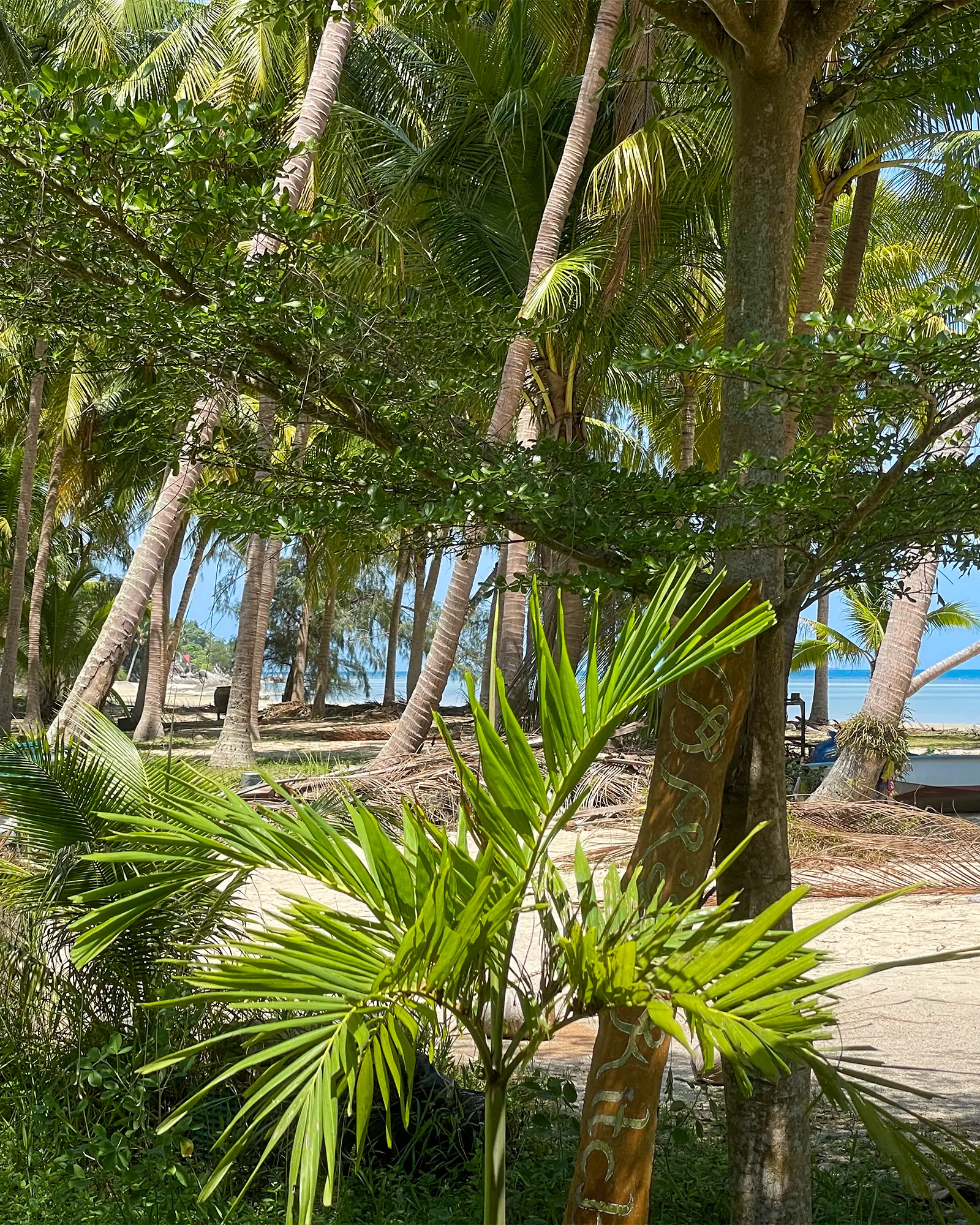 Ban Kai, local atmosphere in the south of Koh Phangan