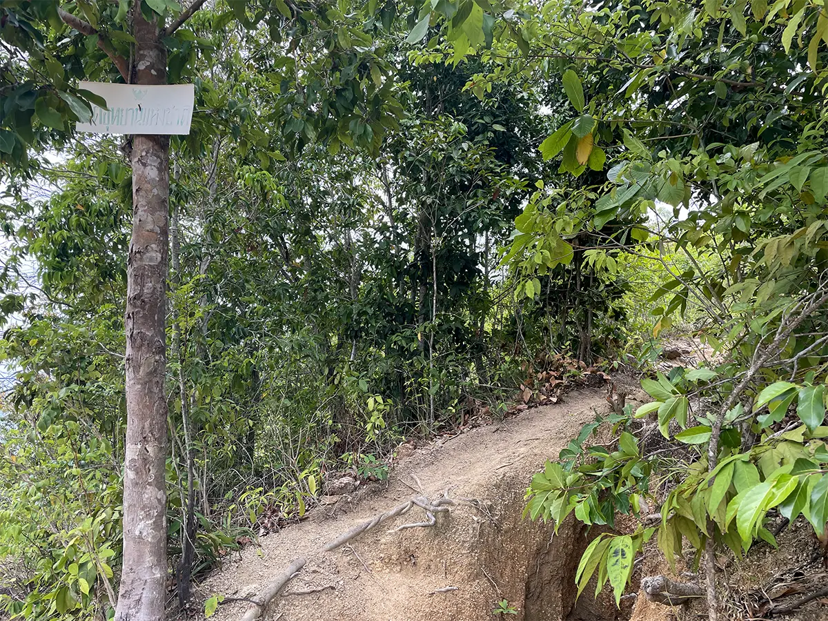 Coastal path viewpoint Bottle Beach Koh Phangan