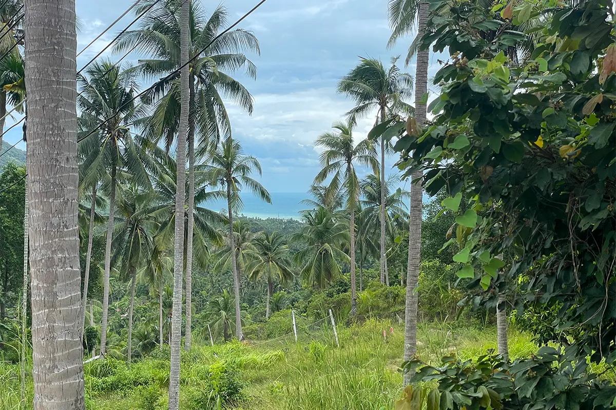 Villa Altura sea view dramatic clouds sky Koh Phangan July September